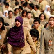 PNS Tidak Cocok Untuk …