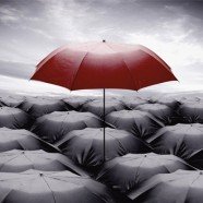 6 Tahap Membangun Komunitas Maya