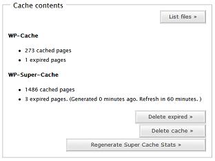 wp-super-cache2.jpg