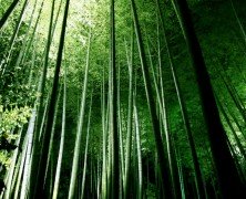 Green Computing untuk Orang Lugu