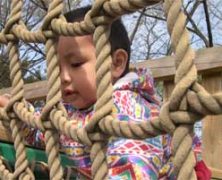 Kebebasan Yang Membebaskan