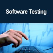 Software Testing